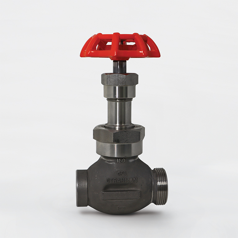 Globe Valve