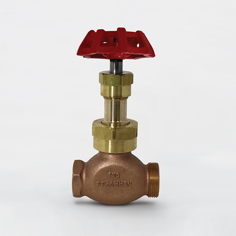 Globe Valve