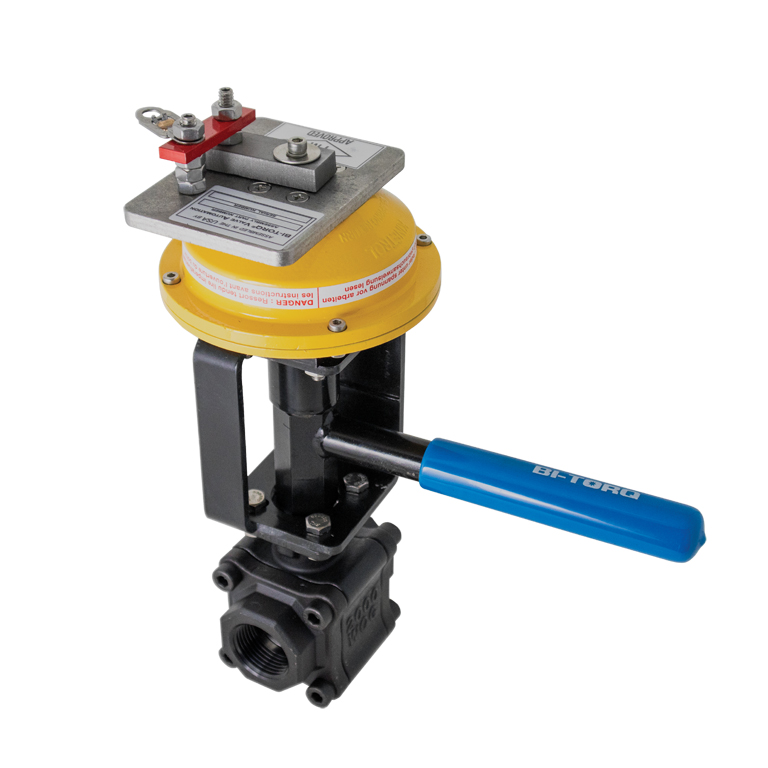 FLP - 1/2" to 2" NPT or SCKT