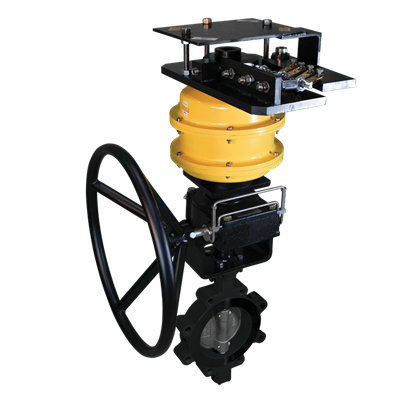BI TORQ FLP HT Series BFV CS