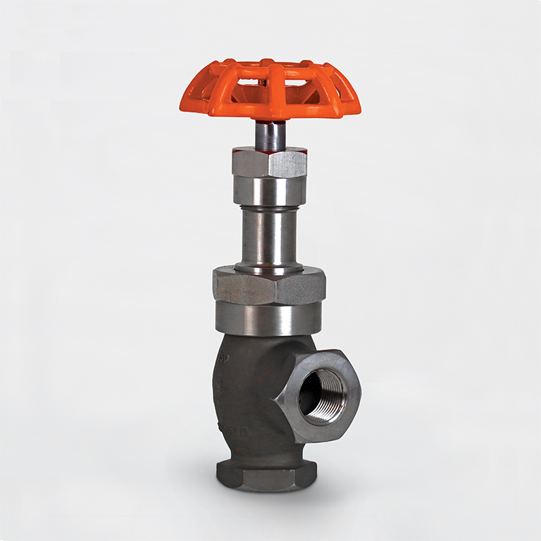 Globe Valve