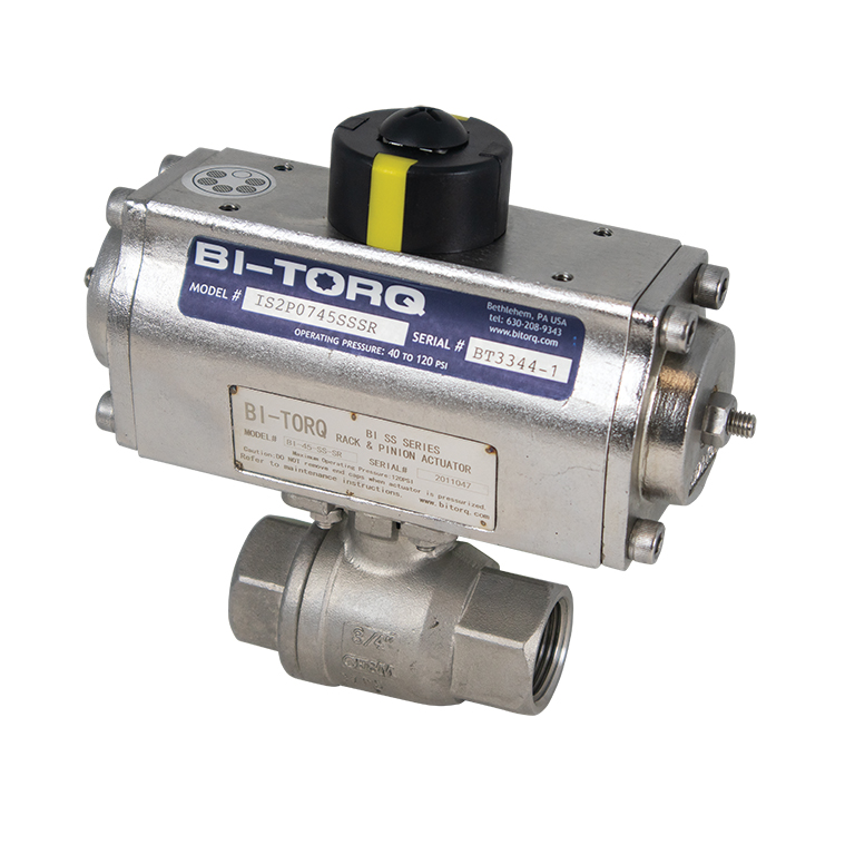 IS-2P (2-Piece SS) Pneumatic Actuator Ball Valves