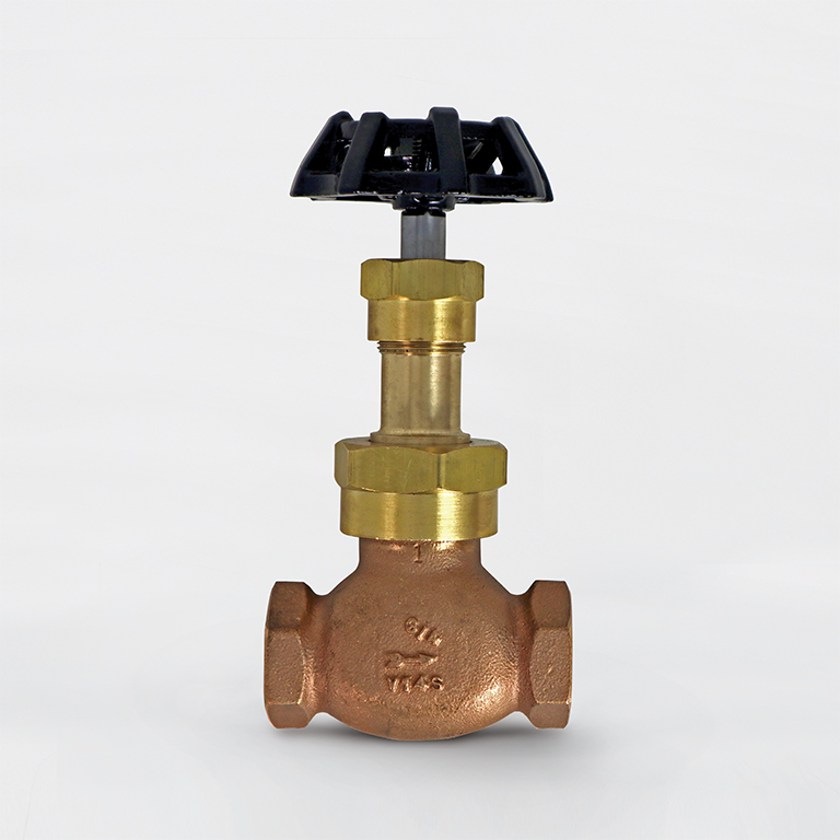 Globe Valve