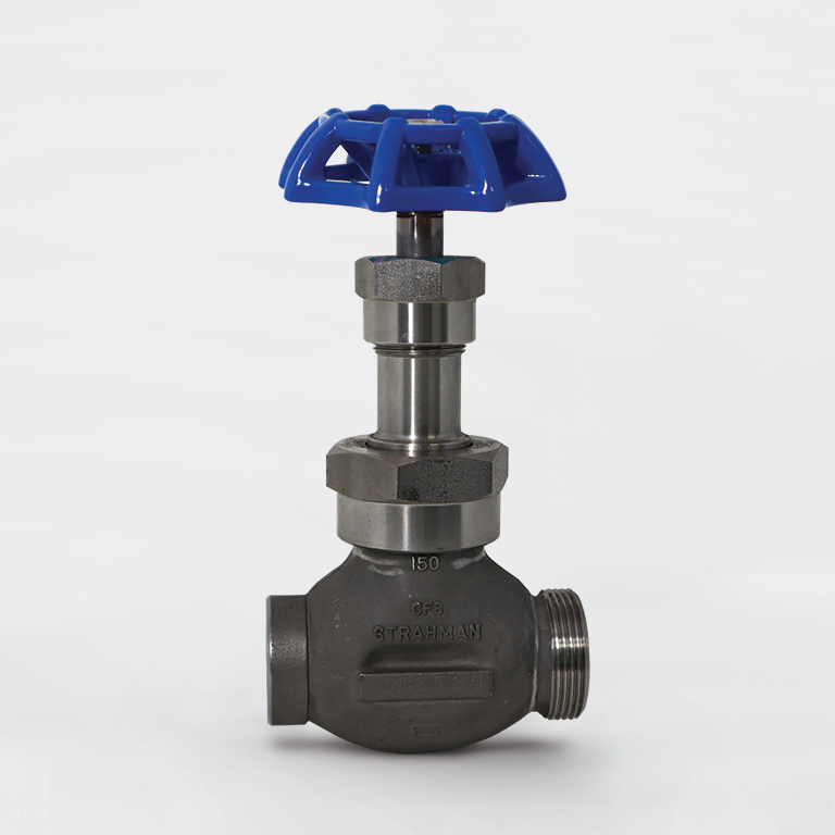 Globe Valve
