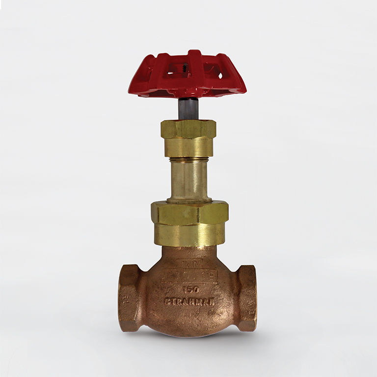 Globe Valve