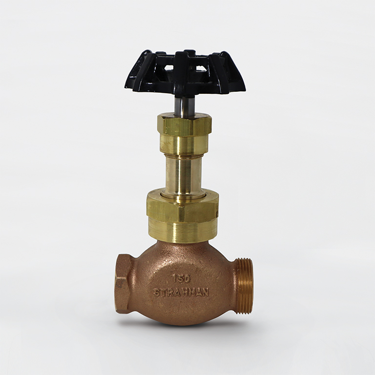 Globe Valve