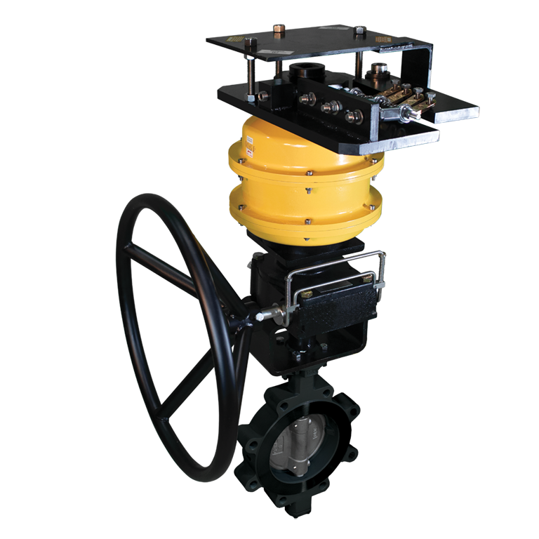 BI TORQ FLP BT Series BFV CS