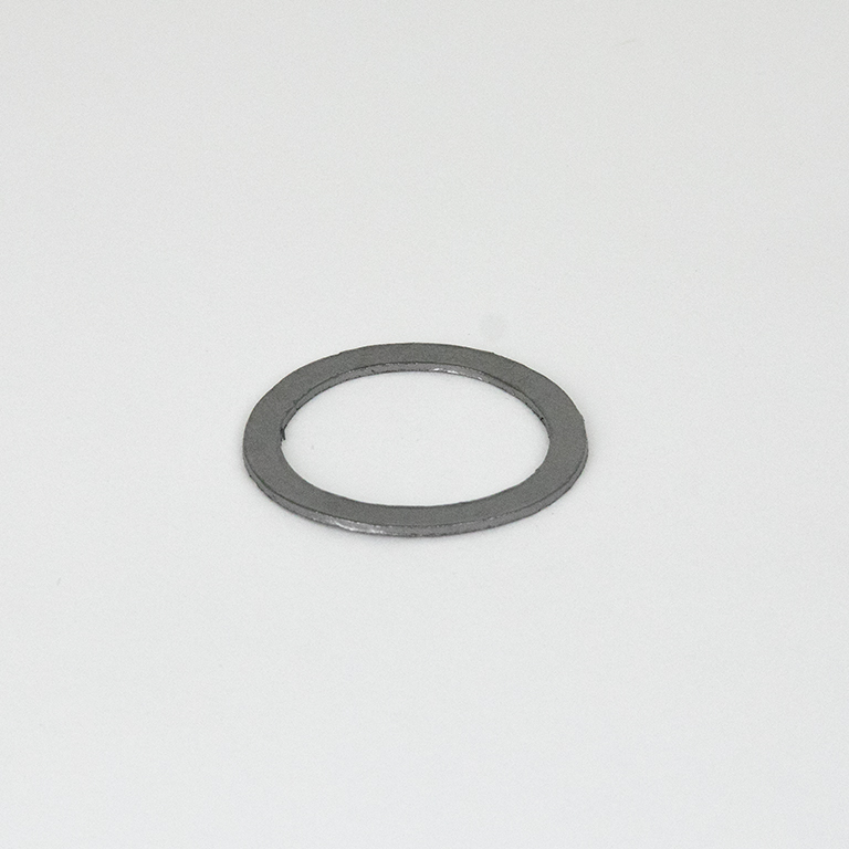 Globe Valve Bonn/Body Gasket