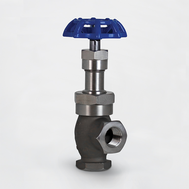 Globe Valve