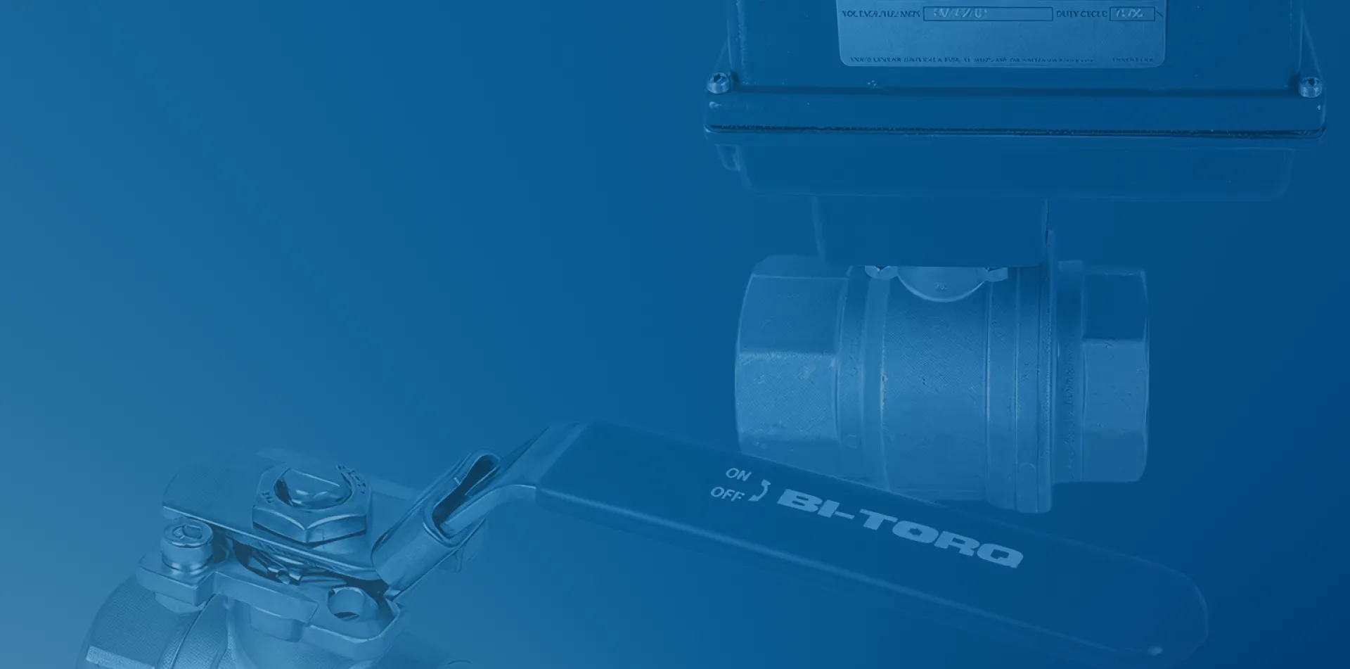 Live Loaded Packing | Strahman Group